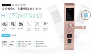 华仕龙智能指纹锁-H10