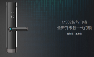 龙兄弟MS02智能门锁